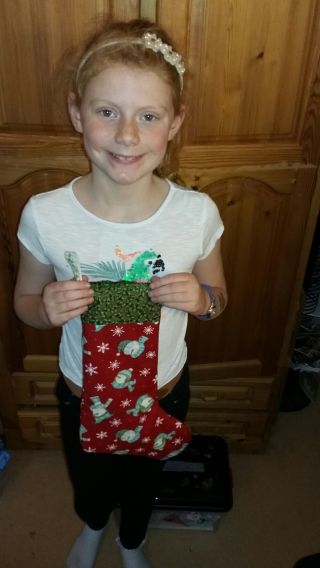 Christmas Project 2015