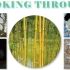 Young Quilters invited to enter the 'Looking Through' Competition