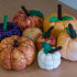 Pumpkins in Region 4
