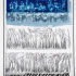 New Exhibition at The Quilters' Guild 