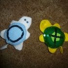 turtle friends